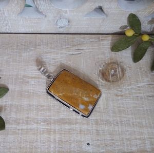 NATURAL FOSSIL CORAL SILVER STONE PENDANT NWOT